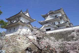 伊賀上野城 天守閣(春)
