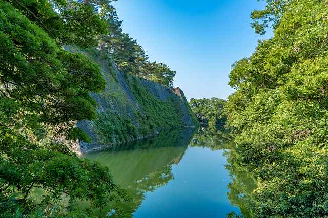 伊賀上野城 高石垣(夏)