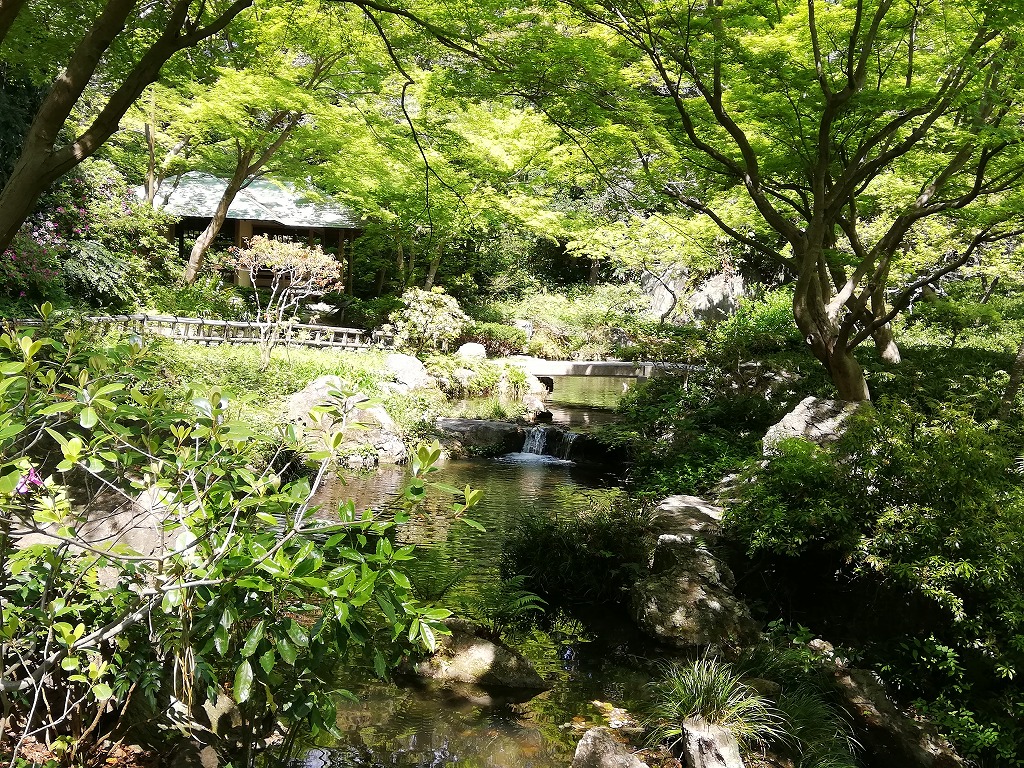 浜松城_西池跡2