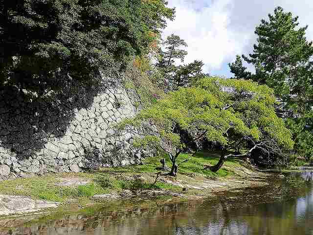 松江城 千鳥橋から見た内堀