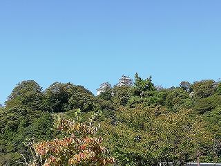 越前大野城 天守(遠景)