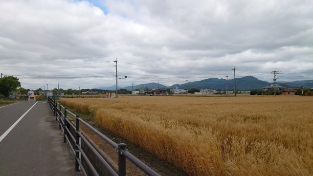 吉野ヶ里遺跡 JR吉野ヶ里駅から歴史公園センター（東口）に向かう道01