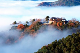 備中松山城 天空の城(ふいご峠からの眺め)