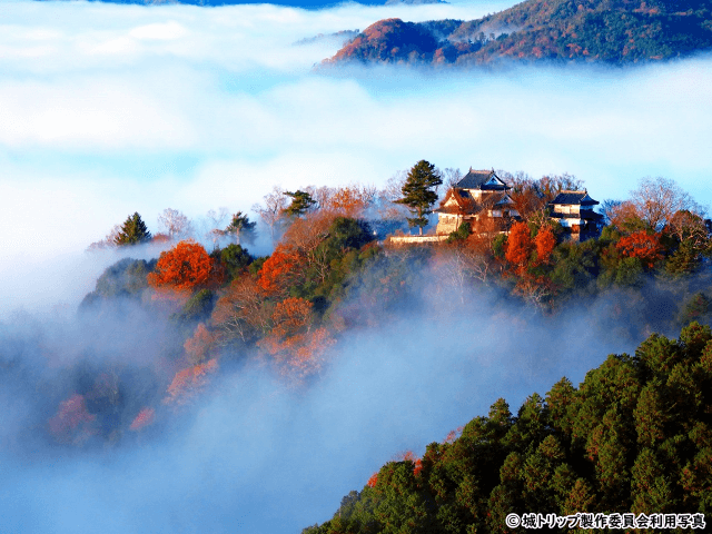 備中松山城 天空の城(備中松山城展望台からの眺め)