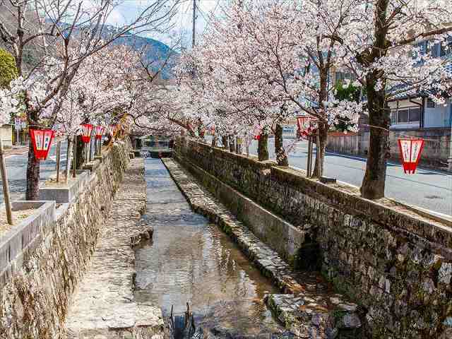 紺屋川美観地区