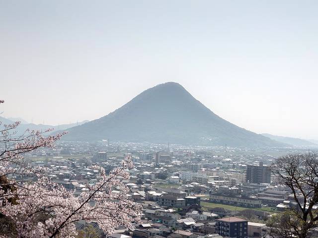 丸亀城 本丸辰巳櫓跡から見た讃岐富士と桜