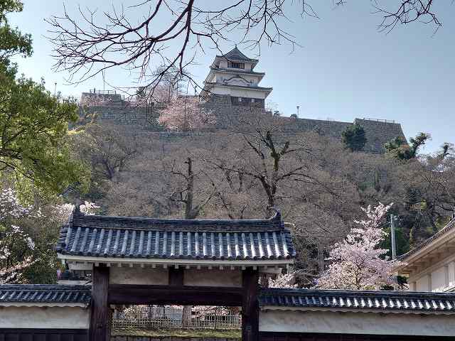 丸亀城 天守と高石垣(大手二の門からの眺め)