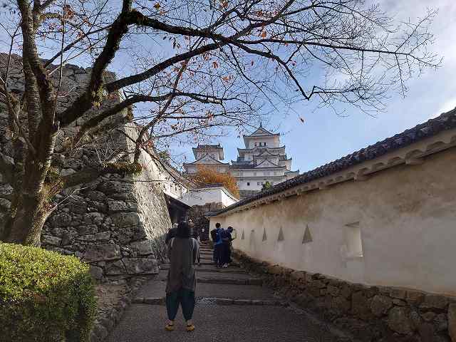 姫路城 はの門南方土塀と天守群(遠景)
