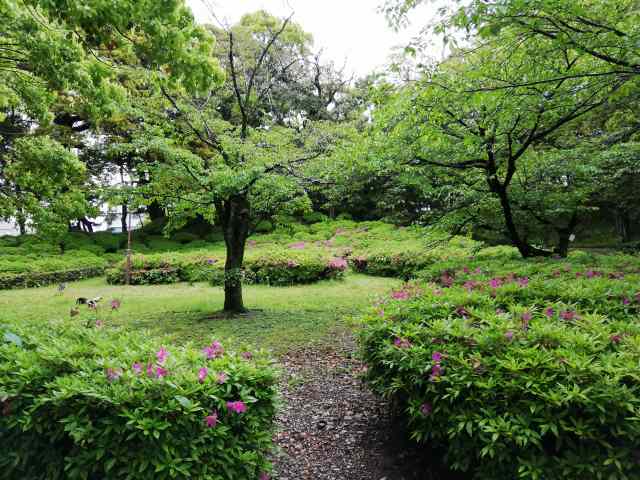 高知城 御桜山居館跡