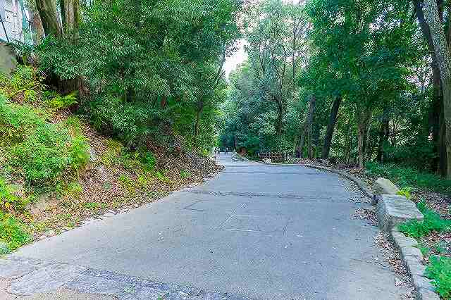 松山城 東雲口登城道