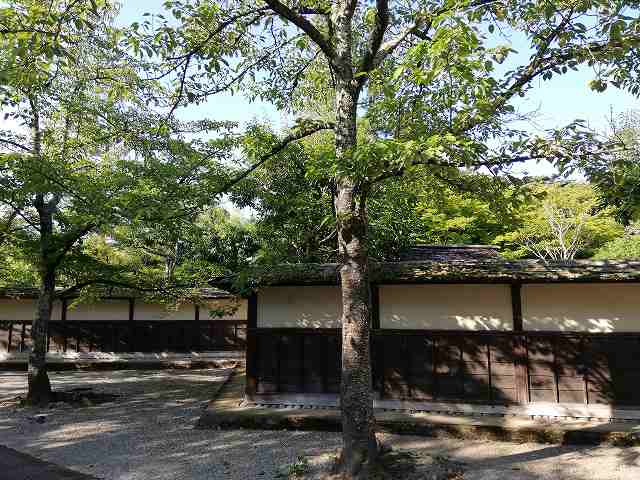 茶室「麟閣」外観