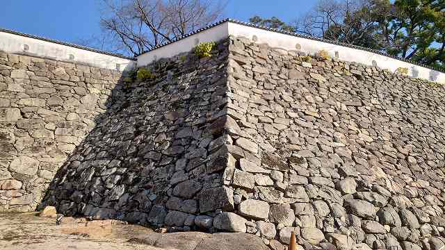 岡山城_本丸本段の石垣01