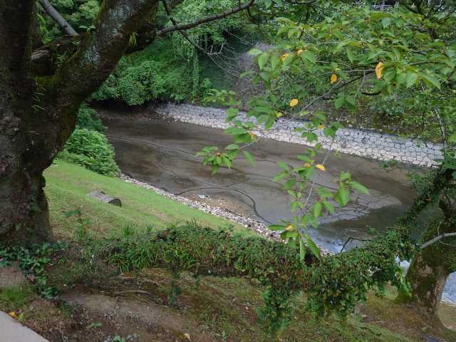 熊本城 備前堀