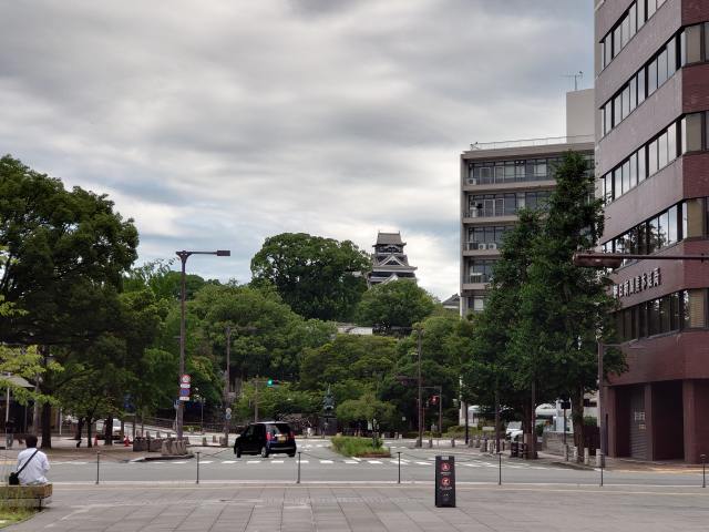 熊本城 天守(花畑公園から見た)