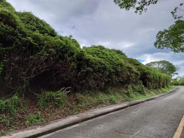 熊本城 千葉城跡
