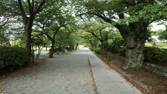 小田原城_二之丸02