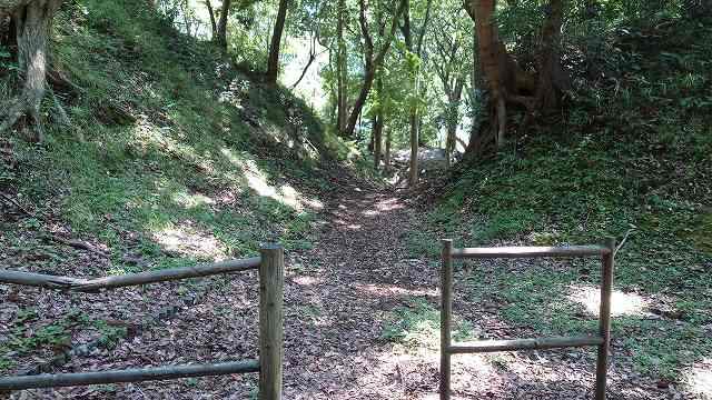小田原城_小峯御鐘ノ台大堀切(中堀切)05