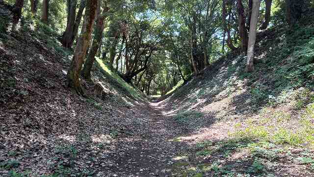 小田原城_小峯御鐘ノ台大堀切(中堀切)09