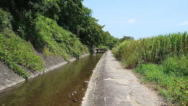 小田原城_早川上水10