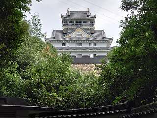 岐阜城 二の丸土塀と天守