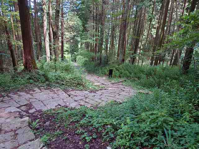 岩村城 初門の虎口(上から見た)