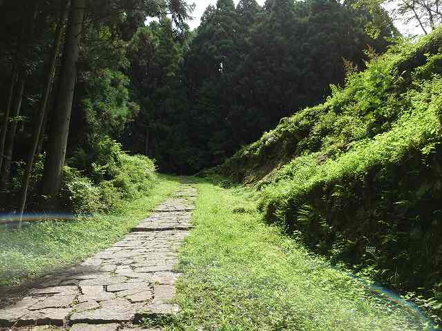 岩村城 一の門から土岐門へ向かう道と石垣群