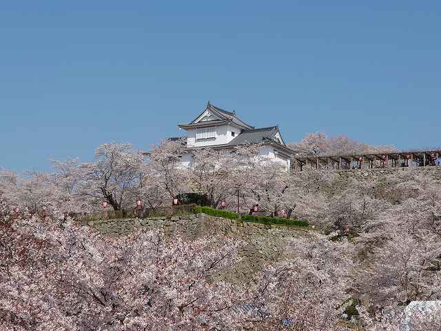 津山城 備中櫓(鶴山館付近からの眺め)