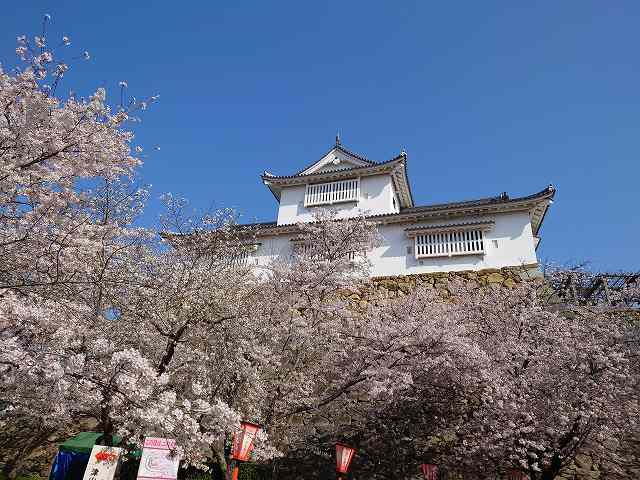 津山城 備中櫓(二ノ丸からの眺め)