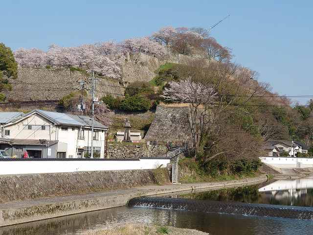 津山城と宮川