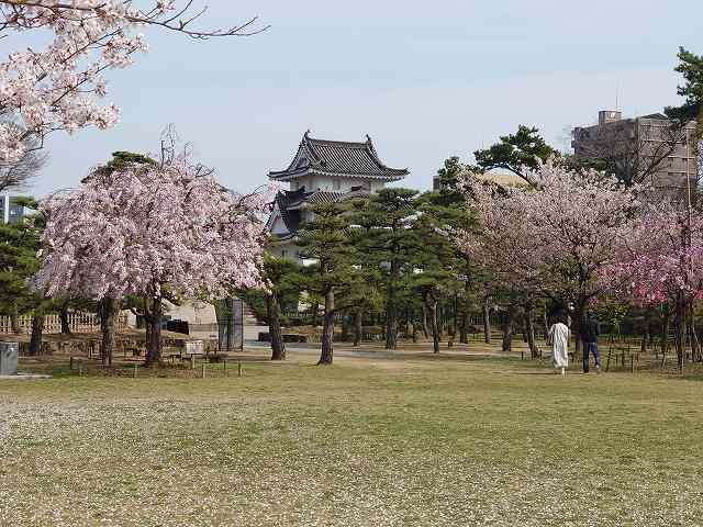 高松城 桜の馬場と艮櫓(旧太鼓櫓跡)