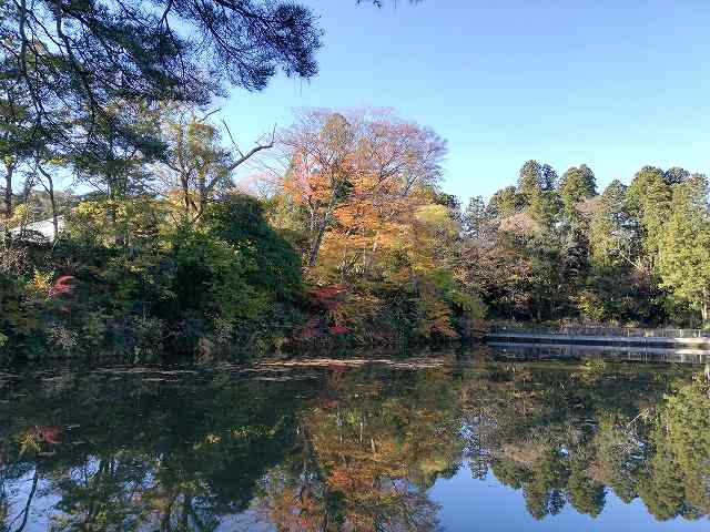 仙台城 三ノ丸 五色沼