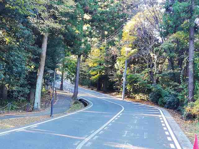 仙台城 大手道