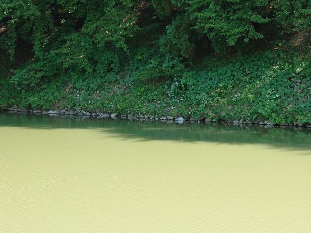 山形城_二の丸内堀西側の鉢巻土塁跡