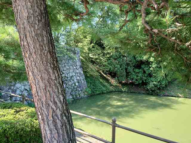 山形城_二の丸北門付近の石垣と土塁