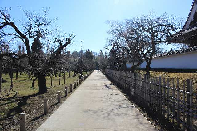 水戸城 弘道館 梅林