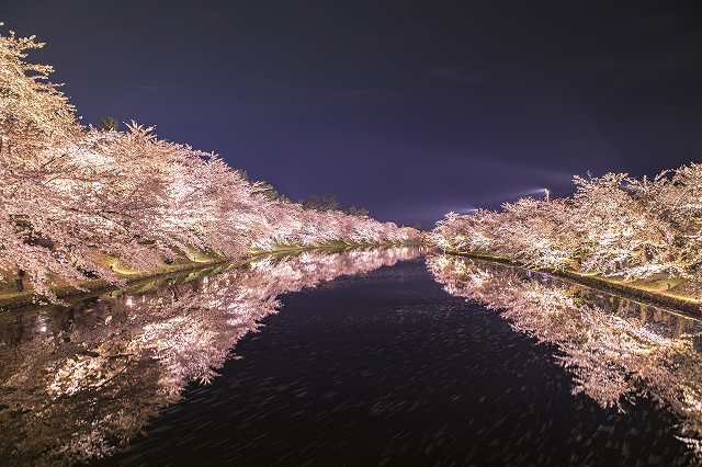 弘前城 蓮池の夜桜