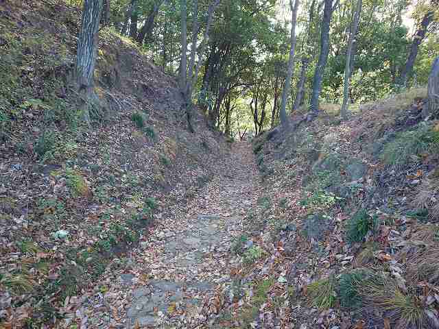 新田金山城_西矢倉台西堀切