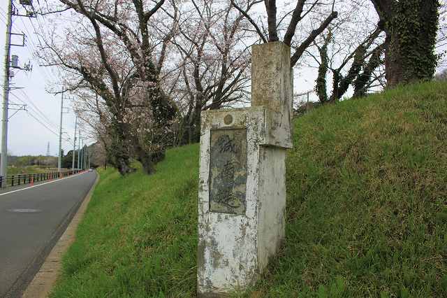 佐倉城 城南堤_6