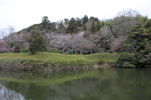 佐倉城 清水出丸跡_2