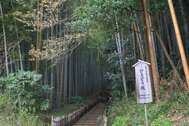 佐倉城 佐倉城下 ひよどり坂_4