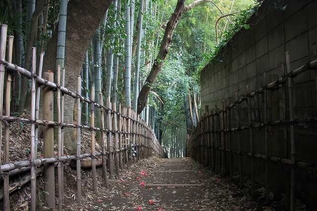 佐倉城 佐倉城下 ひよどり坂_3
