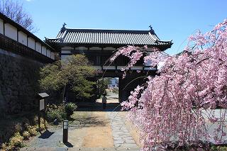 小諸城 大手門