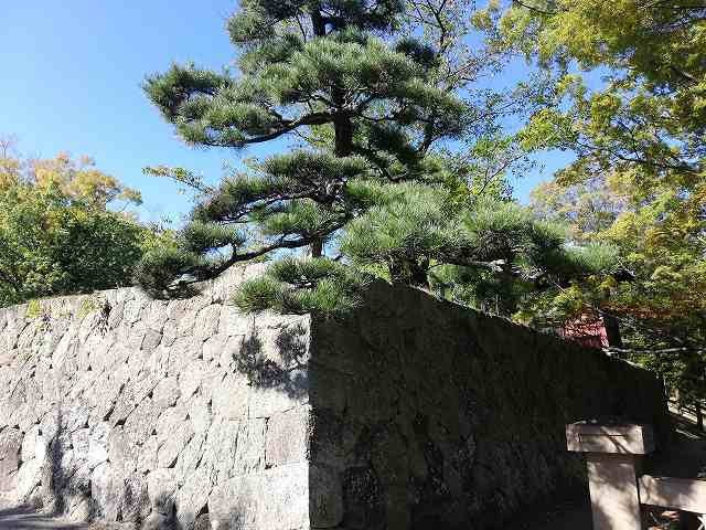 上田城 二の丸東虎口の石垣