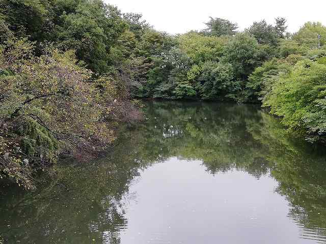 高岡城 南外濠