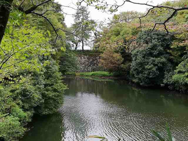 高岡城 二の丸と本丸を繋ぐ石垣(西内濠からの眺め)