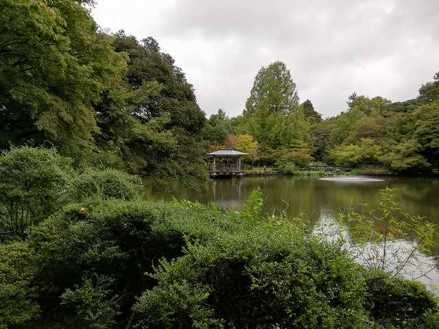 高岡城 緑翠亭(本丸からの眺め)