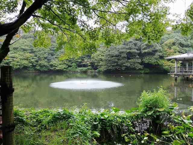 高岡城 内堀の噴水