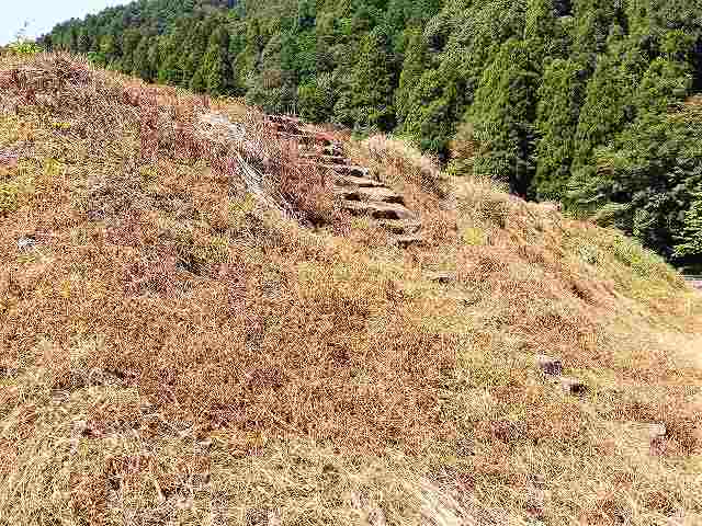 一乗谷朝倉氏遺跡 上城戸土塁