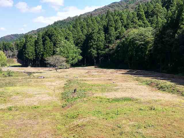 一乗谷朝倉氏遺跡 上城戸付近(家臣屋敷跡)