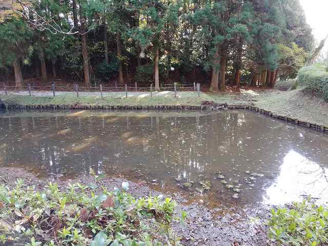 山中城 田尻の池